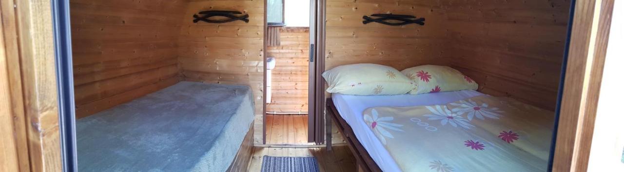 Penzión Zlatá Putňa Vinicky Exterior foto