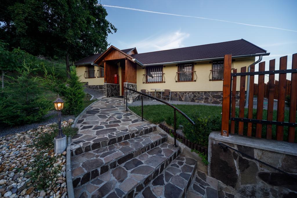 Penzión Zlatá Putňa Vinicky Exterior foto